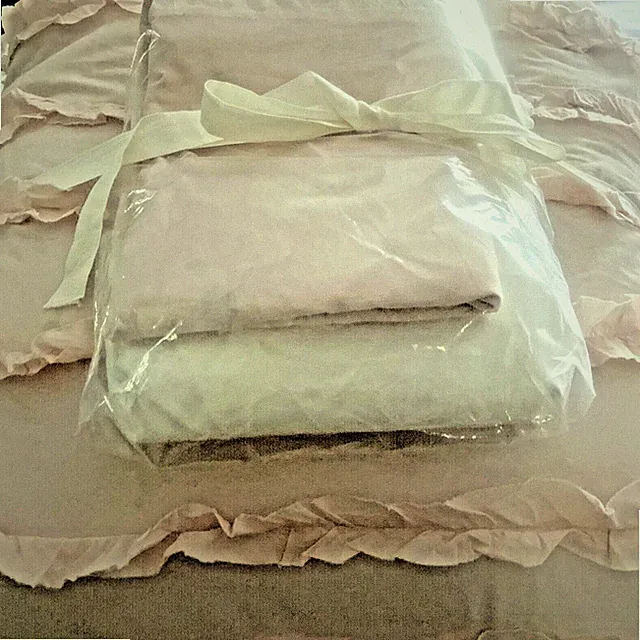 Guilded Rose Shabby Pale Pink Ruffle Queen Comforter Set with 2 Shams and Skirt