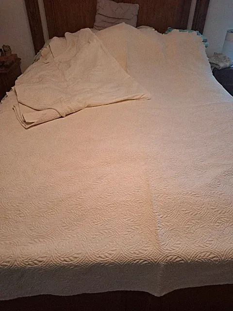 PEACOCK ALLEY VIENNA MALTESE COVERLET & TAILORED BED SKIRT TWIN SCALLOP QUILT EC